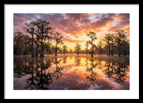 Atchafalaya Basin Serenity
