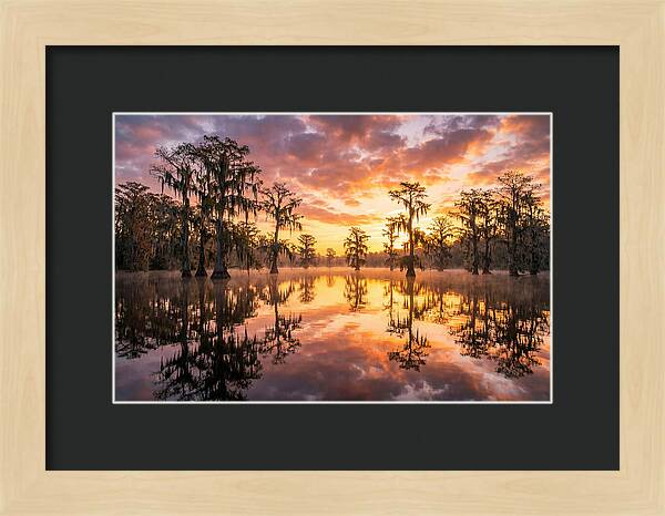 Atchafalaya Basin Serenity