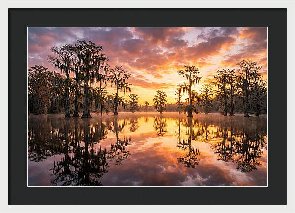 Atchafalaya Basin Serenity