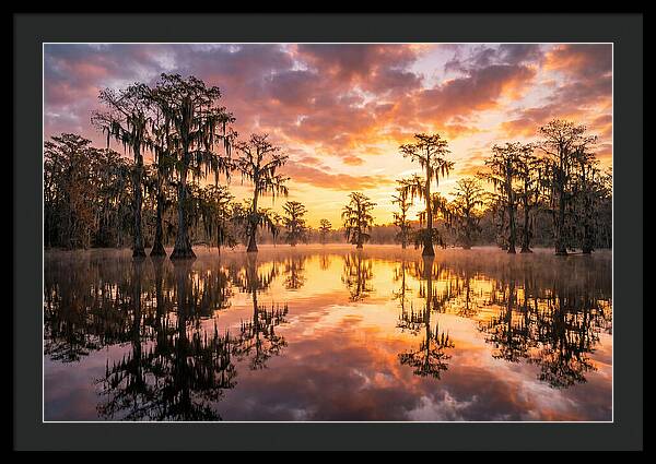 Atchafalaya Basin Serenity
