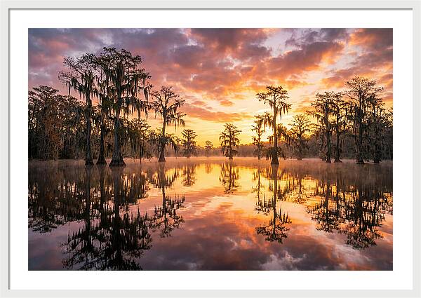 Atchafalaya Basin Serenity
