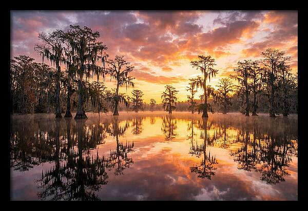 Atchafalaya Basin Serenity