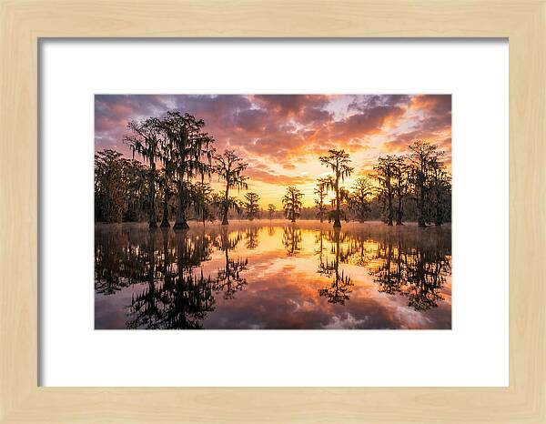 Atchafalaya Basin Serenity