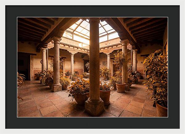 Atrium Interior Courtyard
