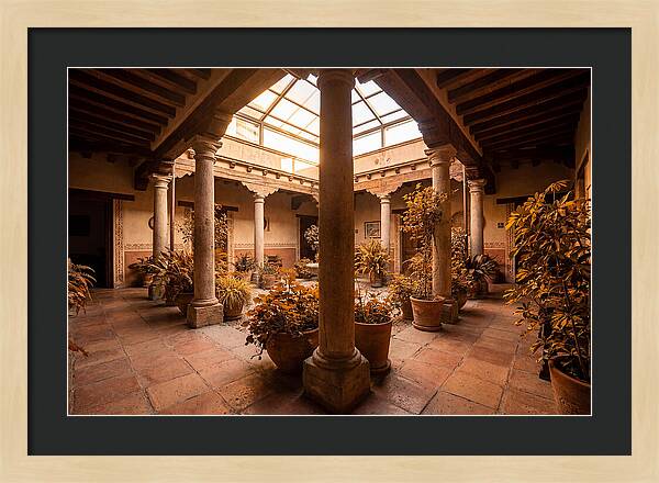 Atrium Interior Courtyard