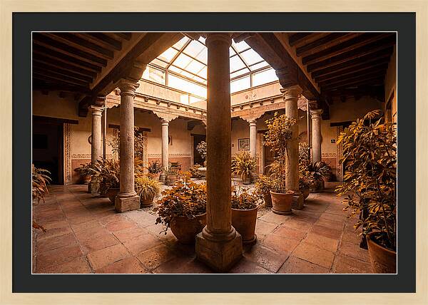 Atrium Interior Courtyard