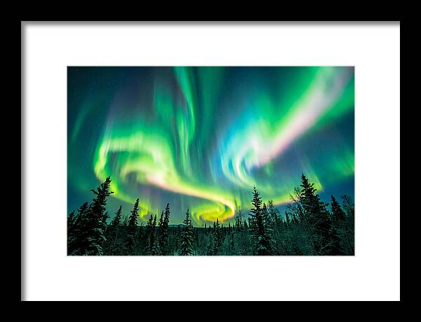 Aurora Borealis Dance Over Taiga