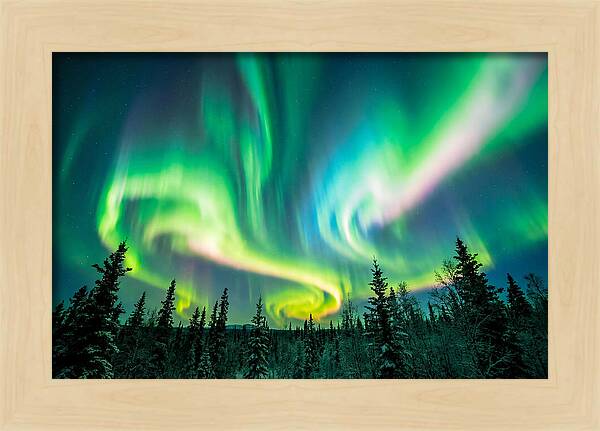 Aurora Borealis Dance Over Taiga