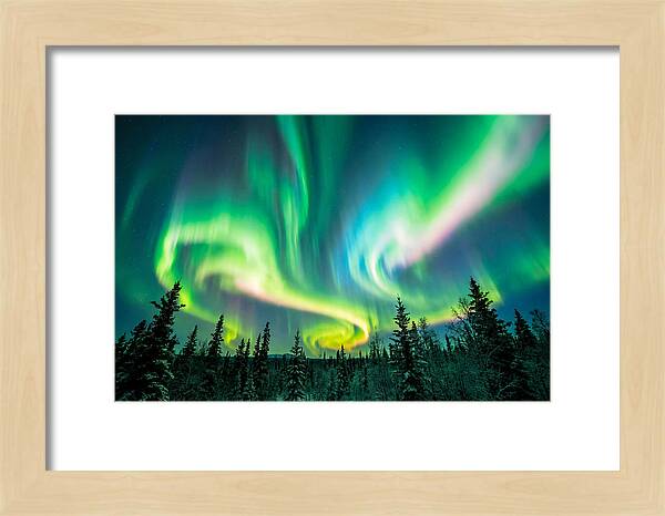 Aurora Borealis Dance Over Taiga