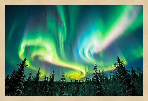 Aurora Borealis Dance Over Taiga