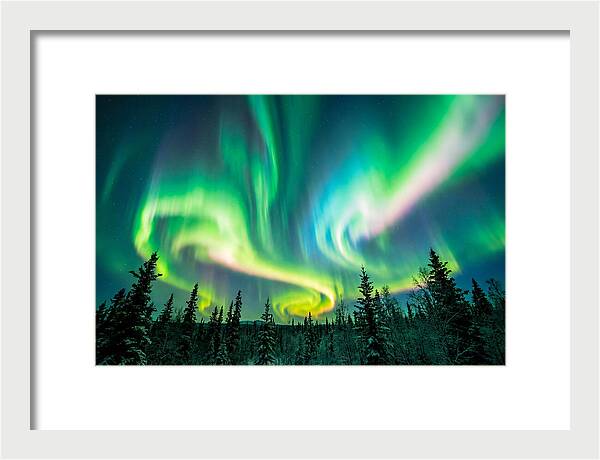 Aurora Borealis Dance Over Taiga