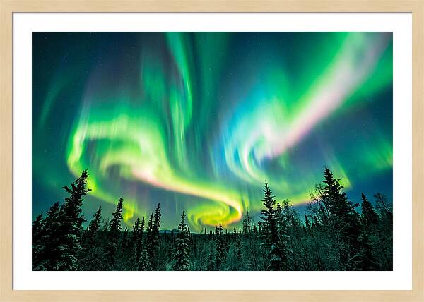 Aurora Borealis Dance Over Taiga