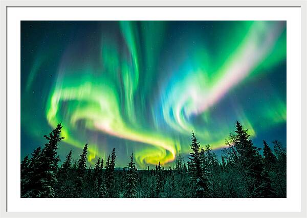 Aurora Borealis Dance Over Taiga