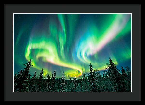 Aurora Borealis Dance Over Taiga