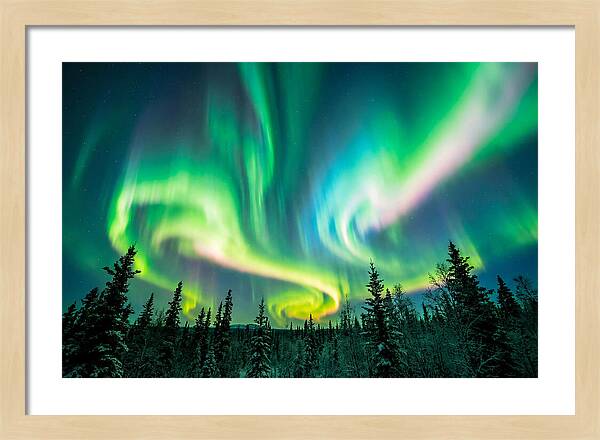 Aurora Borealis Dance Over Taiga