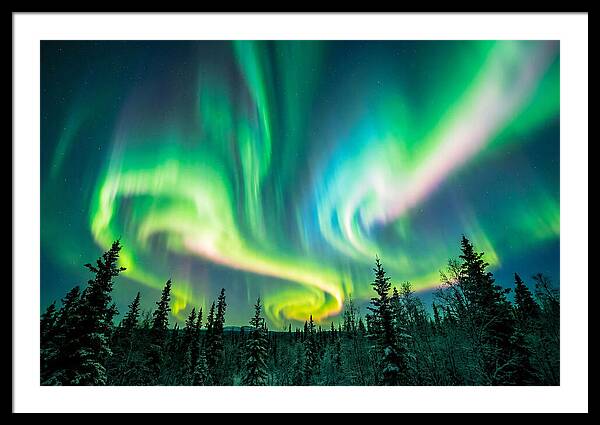 Aurora Borealis Dance Over Taiga