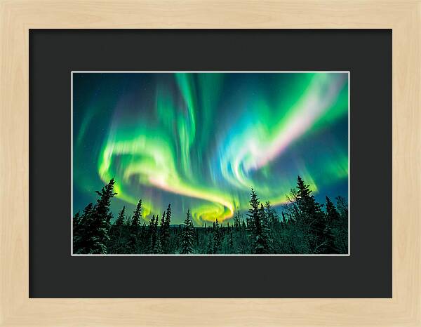 Aurora Borealis Dance Over Taiga