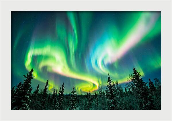 Aurora Borealis Dance Over Taiga