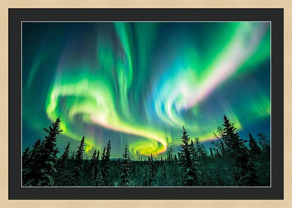 Aurora Borealis Dance Over Taiga
