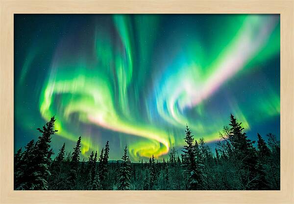 Aurora Borealis Dance Over Taiga