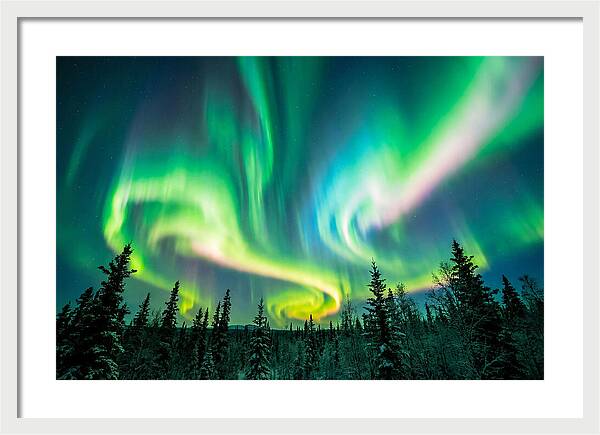 Aurora Borealis Dance Over Taiga