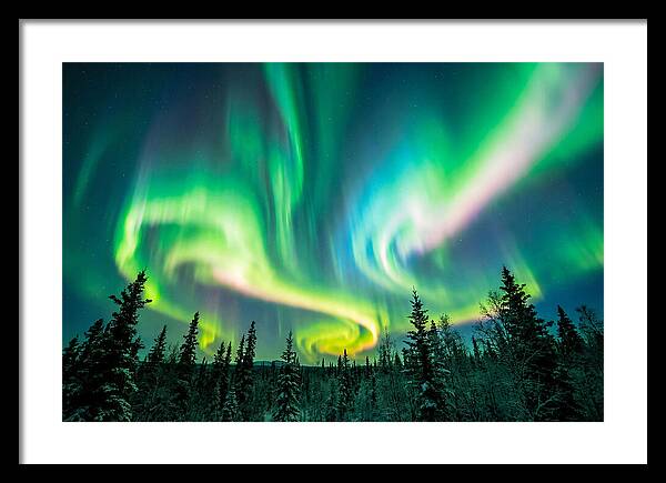 Aurora Borealis Dance Over Taiga