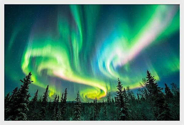 Aurora Borealis Dance Over Taiga