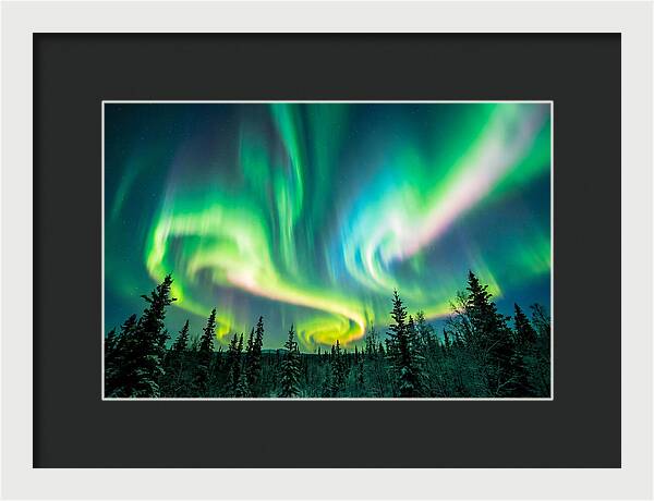 Aurora Borealis Dance Over Taiga