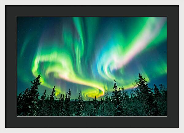 Aurora Borealis Dance Over Taiga