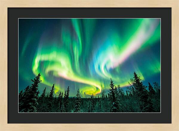 Aurora Borealis Dance Over Taiga