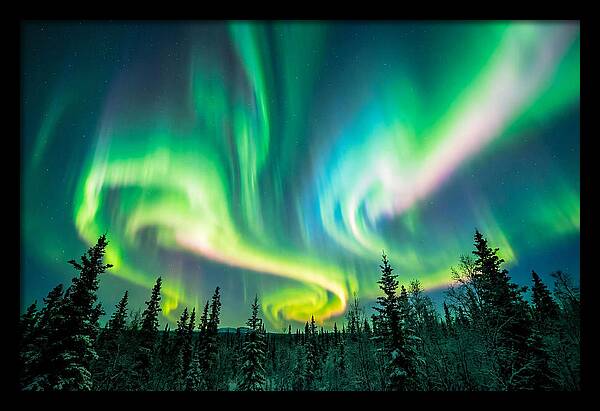 Aurora Borealis Dance Over Taiga