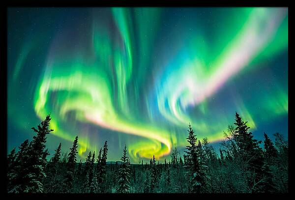 Aurora Borealis Dance Over Taiga