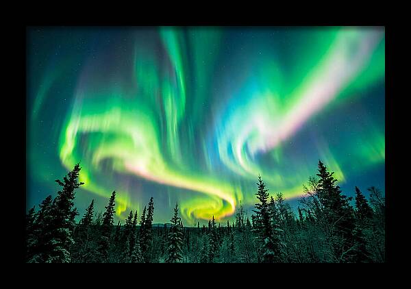 Aurora Borealis Dance Over Taiga