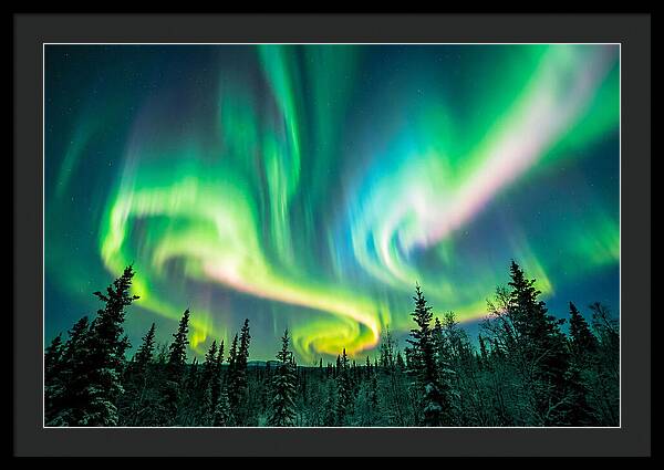 Aurora Borealis Dance Over Taiga