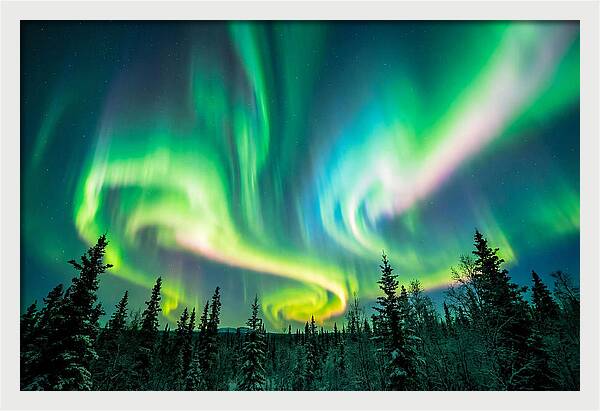 Aurora Borealis Dance Over Taiga