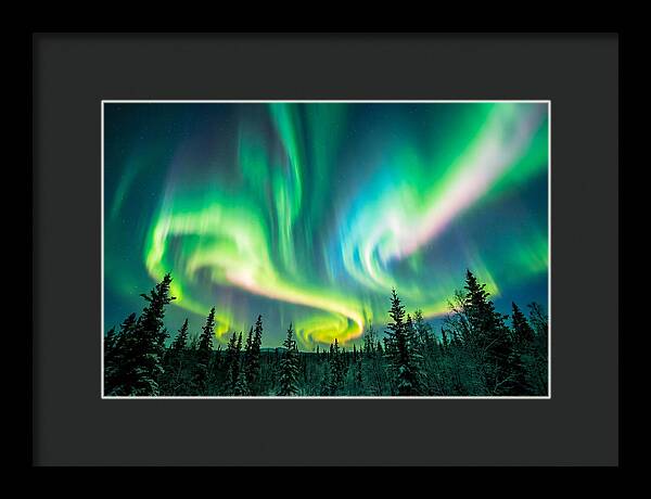 Aurora Borealis Dance Over Taiga