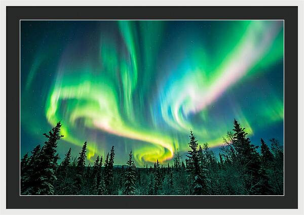 Aurora Borealis Dance Over Taiga