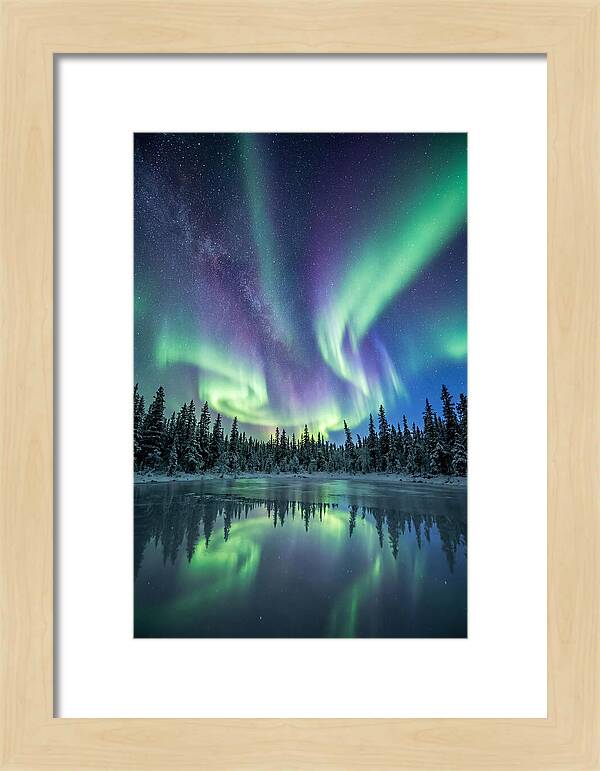 Aurora Borealis Over Alaskan Taiga