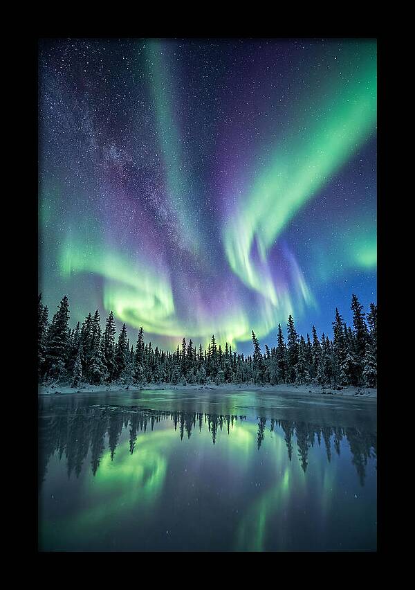 Aurora Borealis Over Alaskan Taiga
