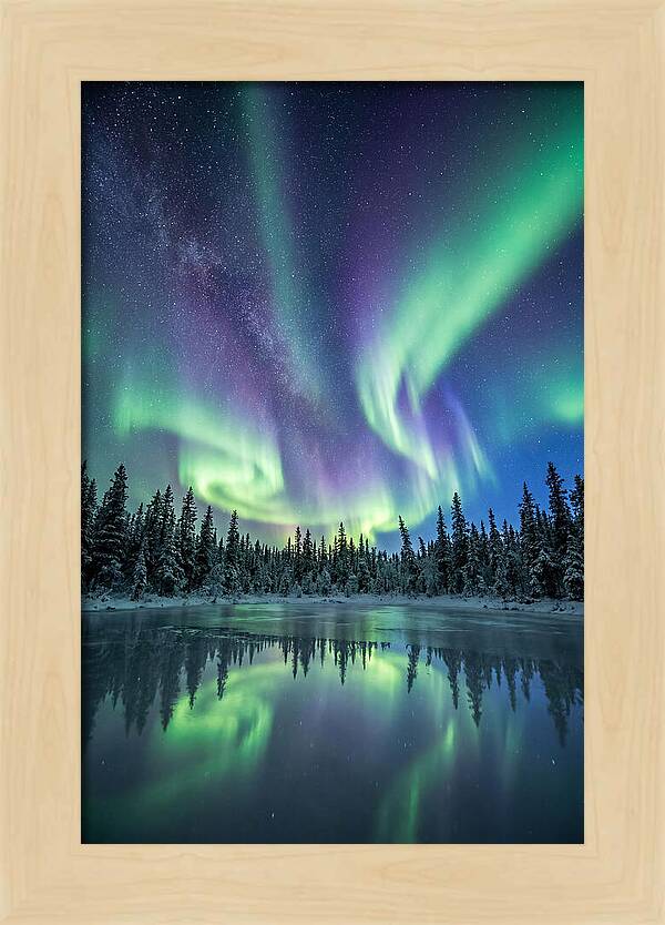 Aurora Borealis Over Alaskan Taiga