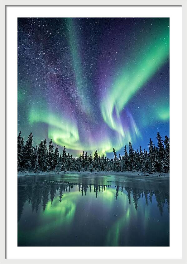 Aurora Borealis Over Alaskan Taiga