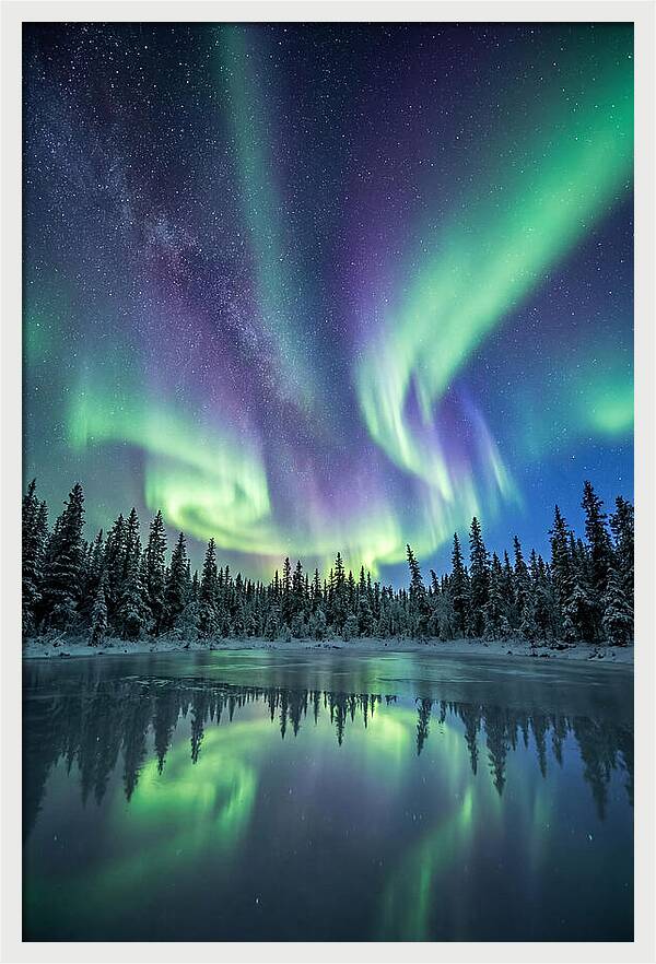 Aurora Borealis Over Alaskan Taiga