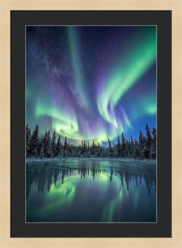 Aurora Borealis Over Alaskan Taiga