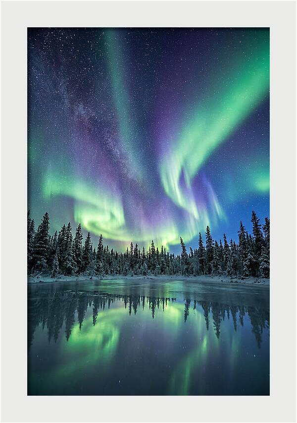 Aurora Borealis Over Alaskan Taiga