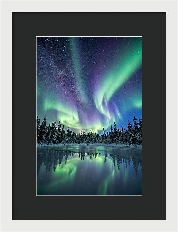Aurora Borealis Over Alaskan Taiga