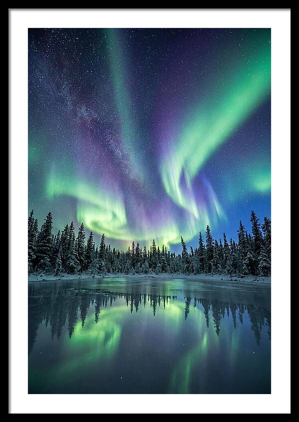 Aurora Borealis Over Alaskan Taiga