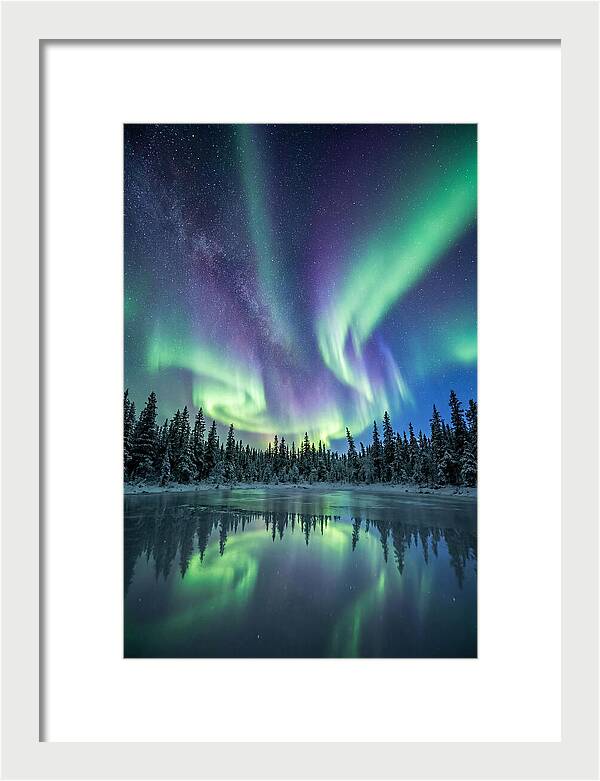 Aurora Borealis Over Alaskan Taiga