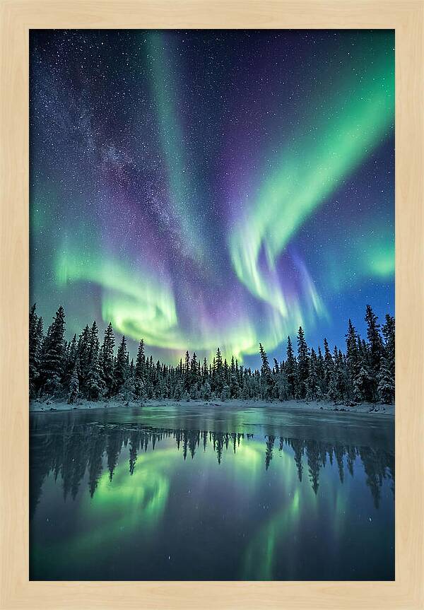 Aurora Borealis Over Alaskan Taiga