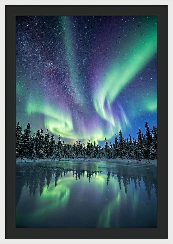 Aurora Borealis Over Alaskan Taiga