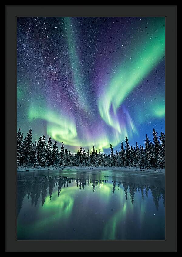 Aurora Borealis Over Alaskan Taiga